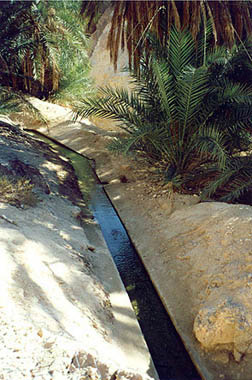 chebika4.jpg, 41 Kb
