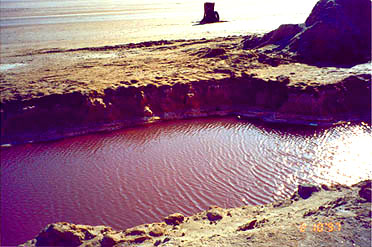 chotjerid3.jpg, 37 Kb