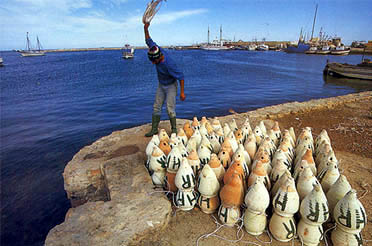 djerba1.jpg, 34 Kb