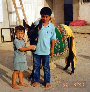 eldjem7.jpg, 45 Kb